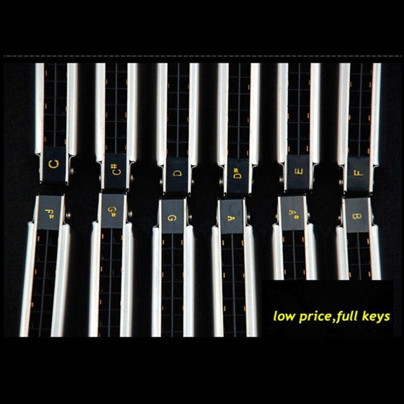 24 Holes Swan Harmonica Tremolo Harmonica Silver Armonica g C D E F G A B A# C# D# F# G# 24 Holes Swan Harmonica