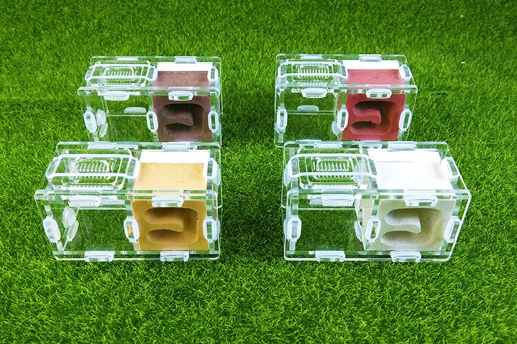 Maur slott maur spleise slott bionisk akryl gips maur reir kjæledyr maur slott verksted hjem maur reir