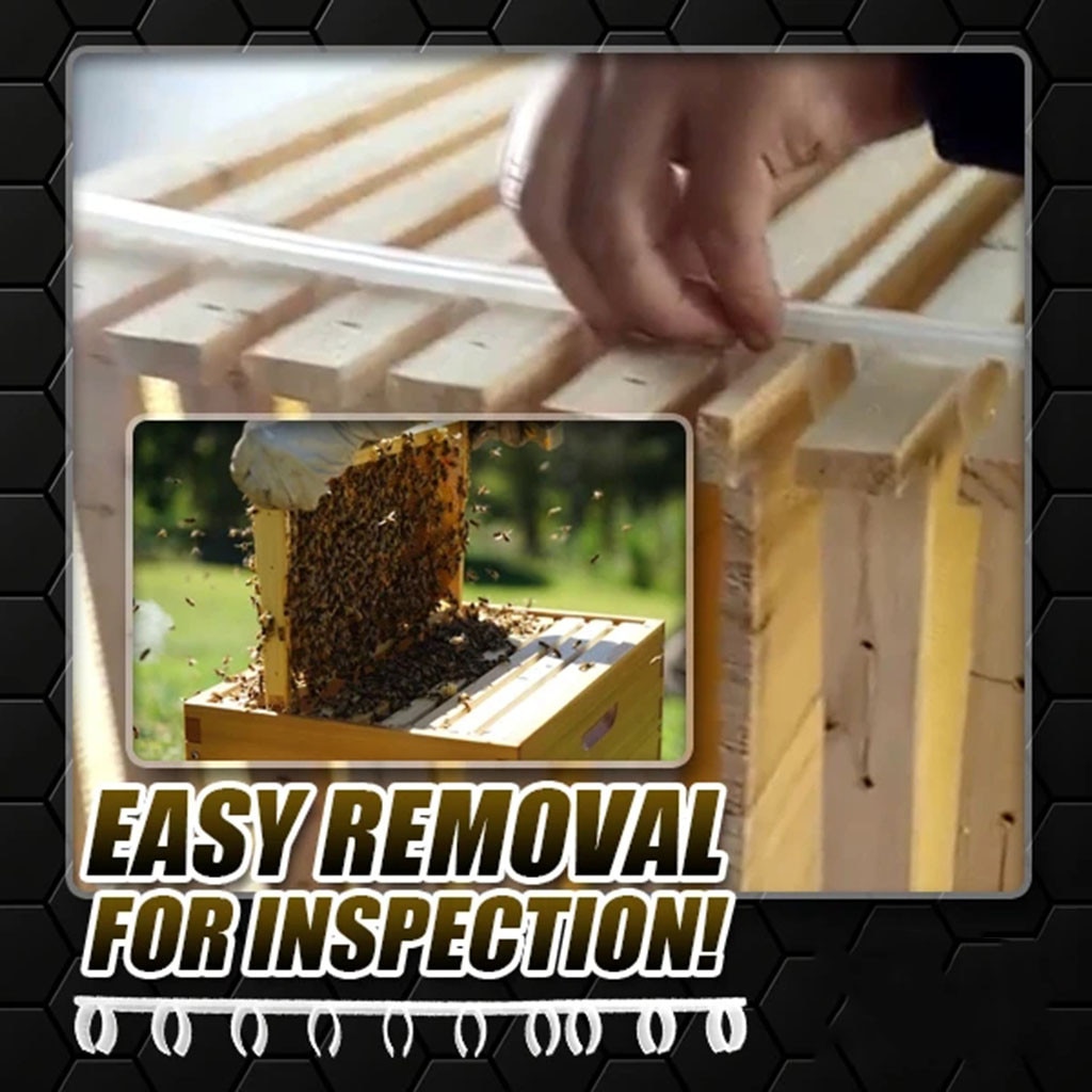 5/10/20PCS Beehive Frame Holder Beekeeping Ends Plastic Durable Bee Divider Plastic White Interval 41cm Anti Shaking for Beehive