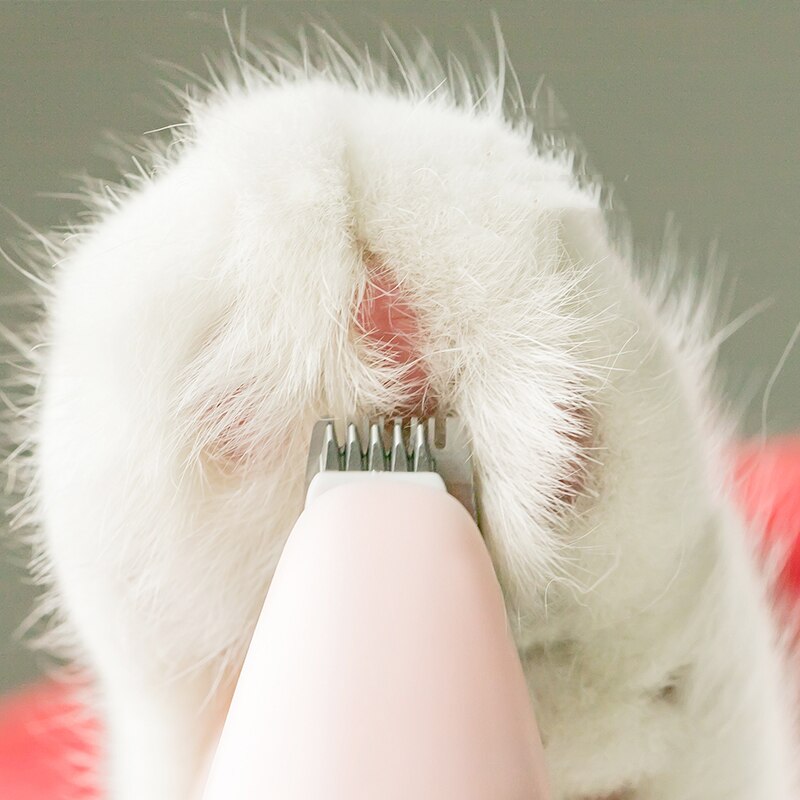 Tondeuse professionnelle à faible bruit pour chiens et chats, Kit de toilettage pour petits chiens et chats