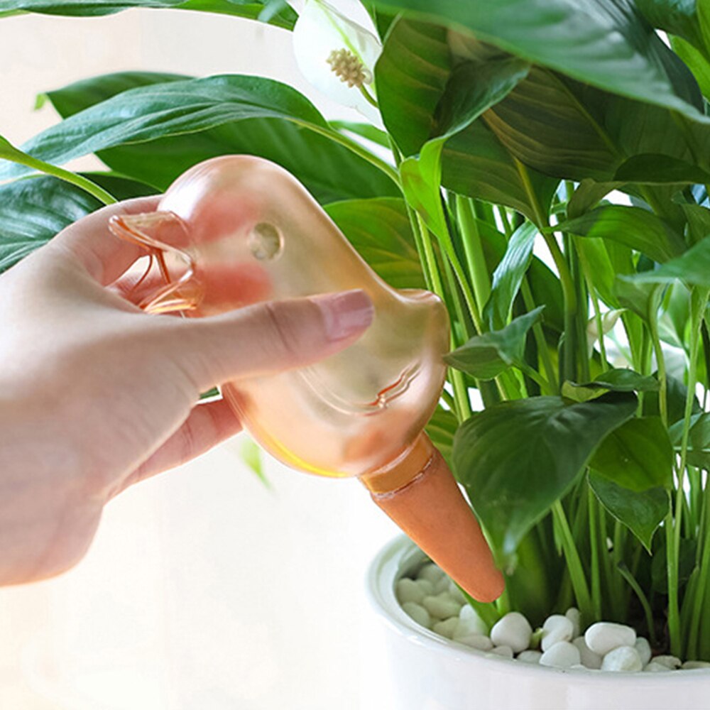 Set De Riego Automático Para Jardín.auto Riego | Meses Sin Interés