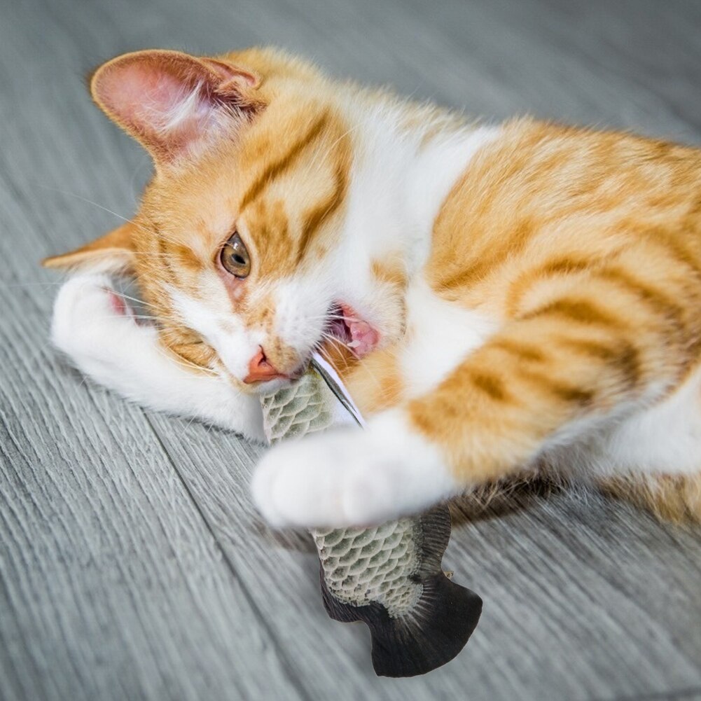 Poisson chat jouet drôle animal de compagnie jouets électriques 3D Simulation poisson USB Simulation danse saut mobile charge poisson chat jouant jouet