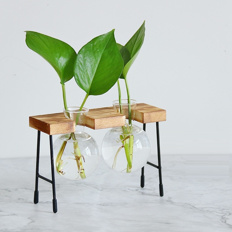 Florero de vidrio para plantas hidropónicas, marco de madera para cafetería, jarrón de decoración, terrario, bonsái para el hogar, estación de decoración