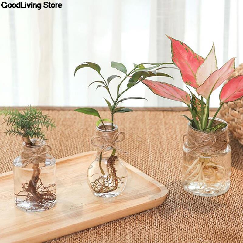 Mini florero de Jacinto de resina transparente para decoración del hogar, maceta de flores y plantas, adornos artesanales para sala de estar, jardín, decoración de escritorio, 1 ud.