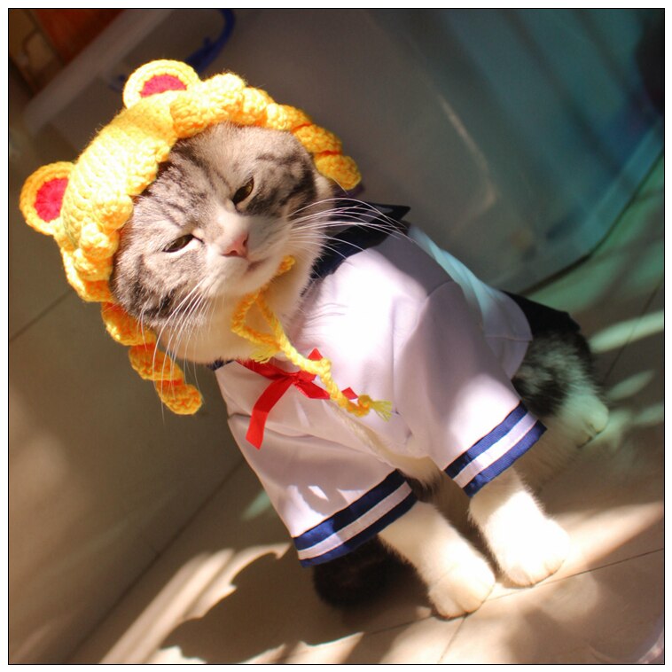 Uniforme de escuela alta para gato, ropa para gato, disfraz para mascota