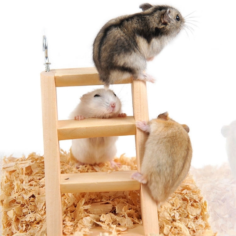 4 typer kæledyr legetøj hamster legetøj tilbehør, skridsikker rille, små dyr egern ørkenrotter mus dværge rotter, hvile og leg
