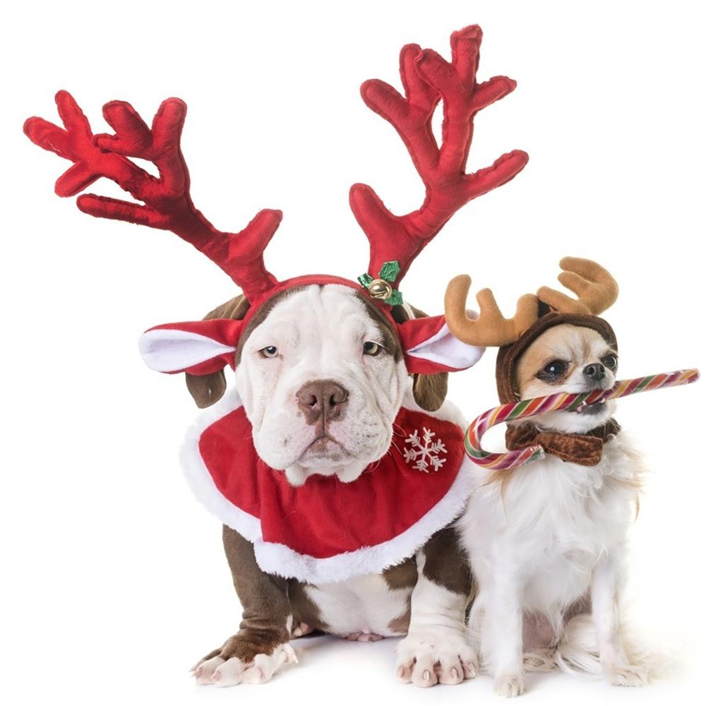 2 stk hund jul rensdyr gevir pandebånd med santa hat justerbar elastisk rem pandebånd klassisk hovedbeklædning fest kæledyr kostume