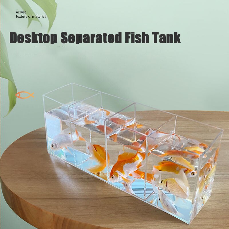 Réservoir de poissons séparé pour petits poissons Betta, Aquarium ouvert en acrylique Transparent pour plantes d&#39;eau, réservoir à tortue