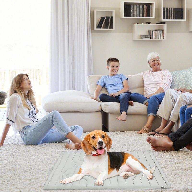 Lemmikkien jäämatto koirille kaksipuolinen kylmämatto koiralle hellävarainen kulutusta kestävä lemmikkien jäämatto lattialle autonistuimille ulko- ja sisähäkki