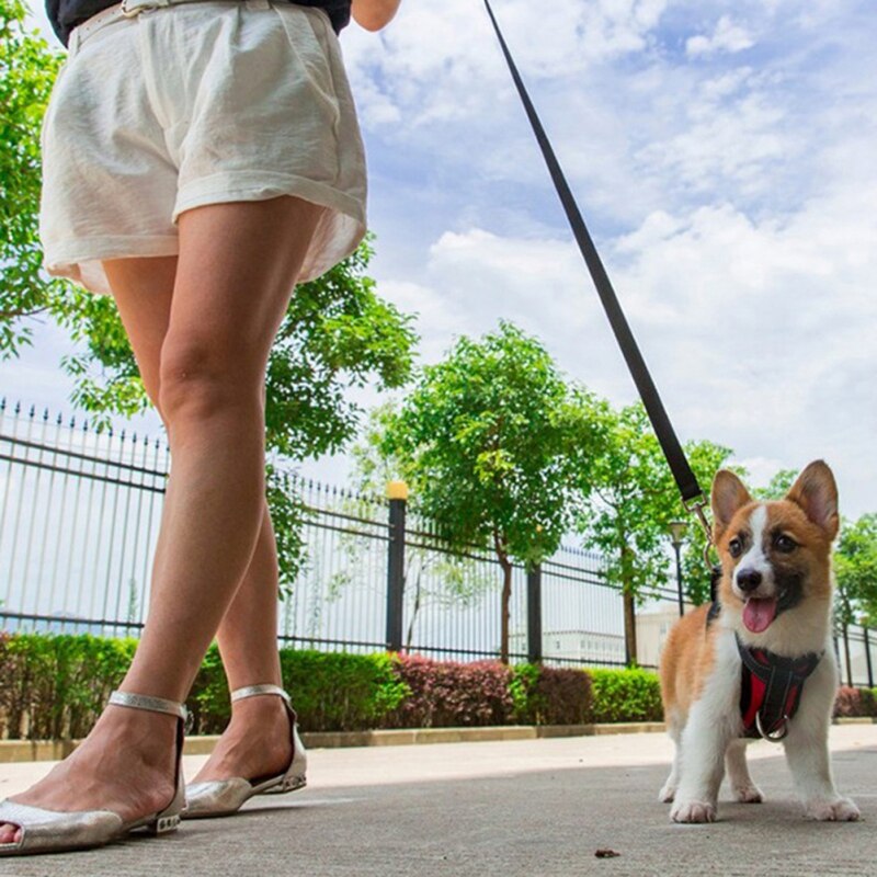 Verstelbare Pet Dog Puppy Harnassen Seat Belt Pet Autogordel Hondenriem Lead Verstelbare Voertuig Harnas Voor Medium Grote honden