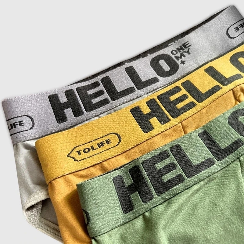 4 stks/partij Slips heren Ondergoed Sexy Shorts heren Slipje Ademend Mannelijke Elastische Onderbroek Para Hombres Grote maat