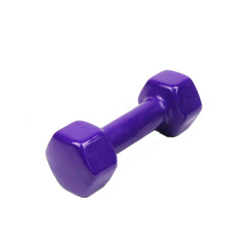 4 farver 4kg matte håndvægte rack stativ håndvægte holder vægtløftningssæt hjemme fitnessudstyr halteres rack stativ håndvægt: Glat lilla 4kg