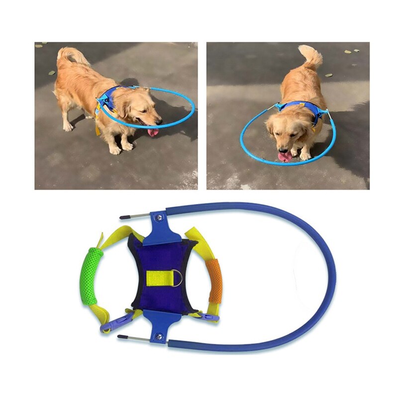 Blind pet durable anti-collision ring high material wear-resistant and durable dog halo 5 sizes blue