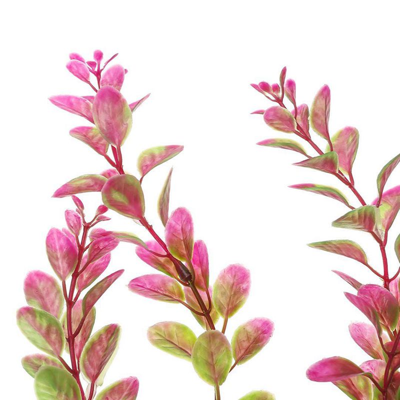Vind plastic aquarium planten op - april 2026
