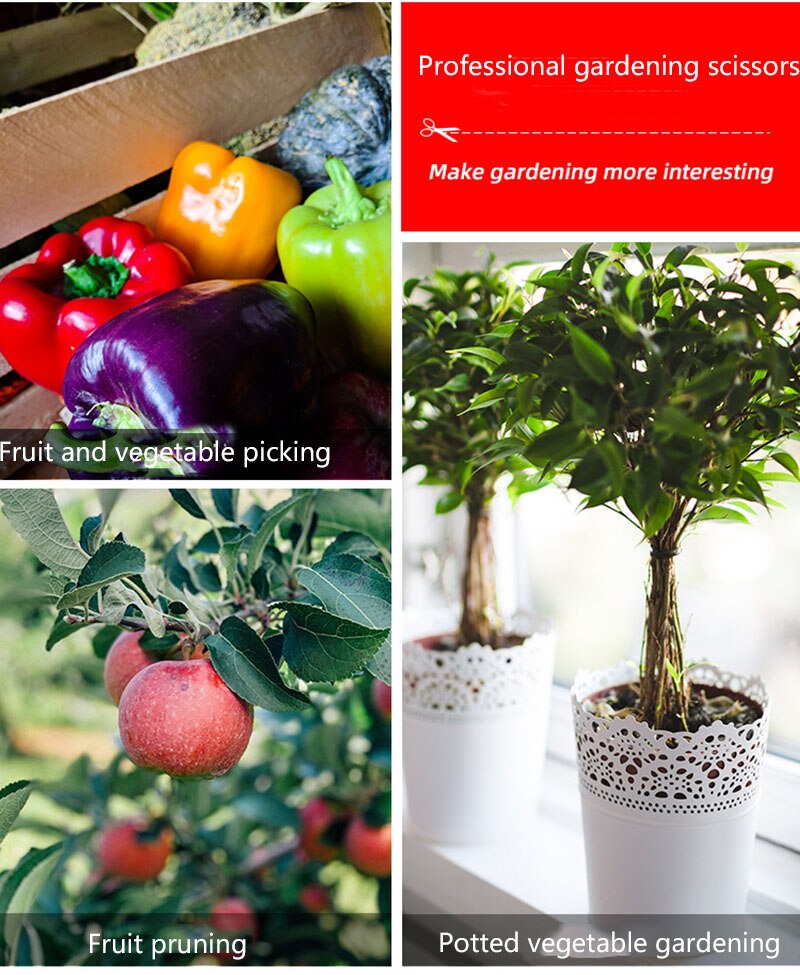 Pruning shrubs, tools, plants, gardening, potted plants, leaf pruning, pruning, gardening, fruit, flower beds, and hand tools su
