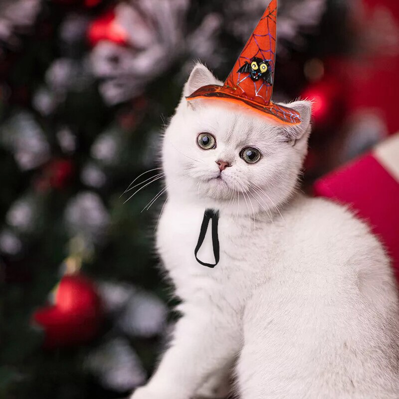 Funny Pet Cap Hond Hoofddeksels Kat Hoofddeksels Halloween Huisdier Hoed Kerst Hoofdtooi Voor Honden Katten Kitten Chihuahua Poedel Accessoires