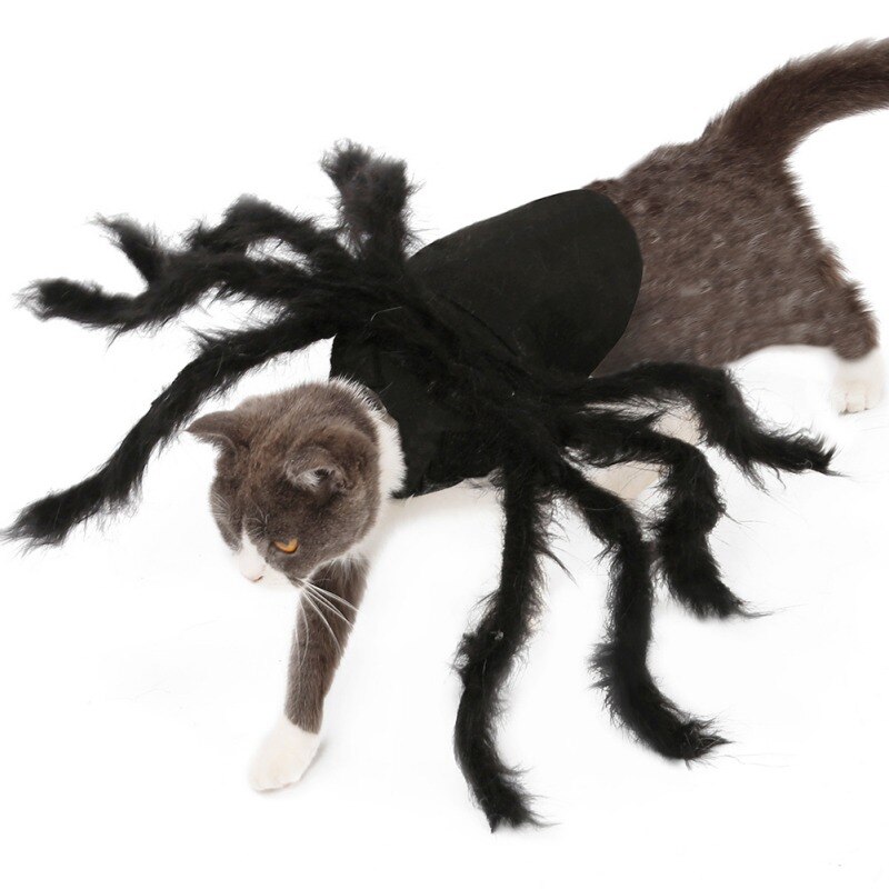 Halloween Spider Kleren Voor Hond Kat Spider Kostuums Dressing Up Pet Kleding Party Hond Halloween Kostuum Props