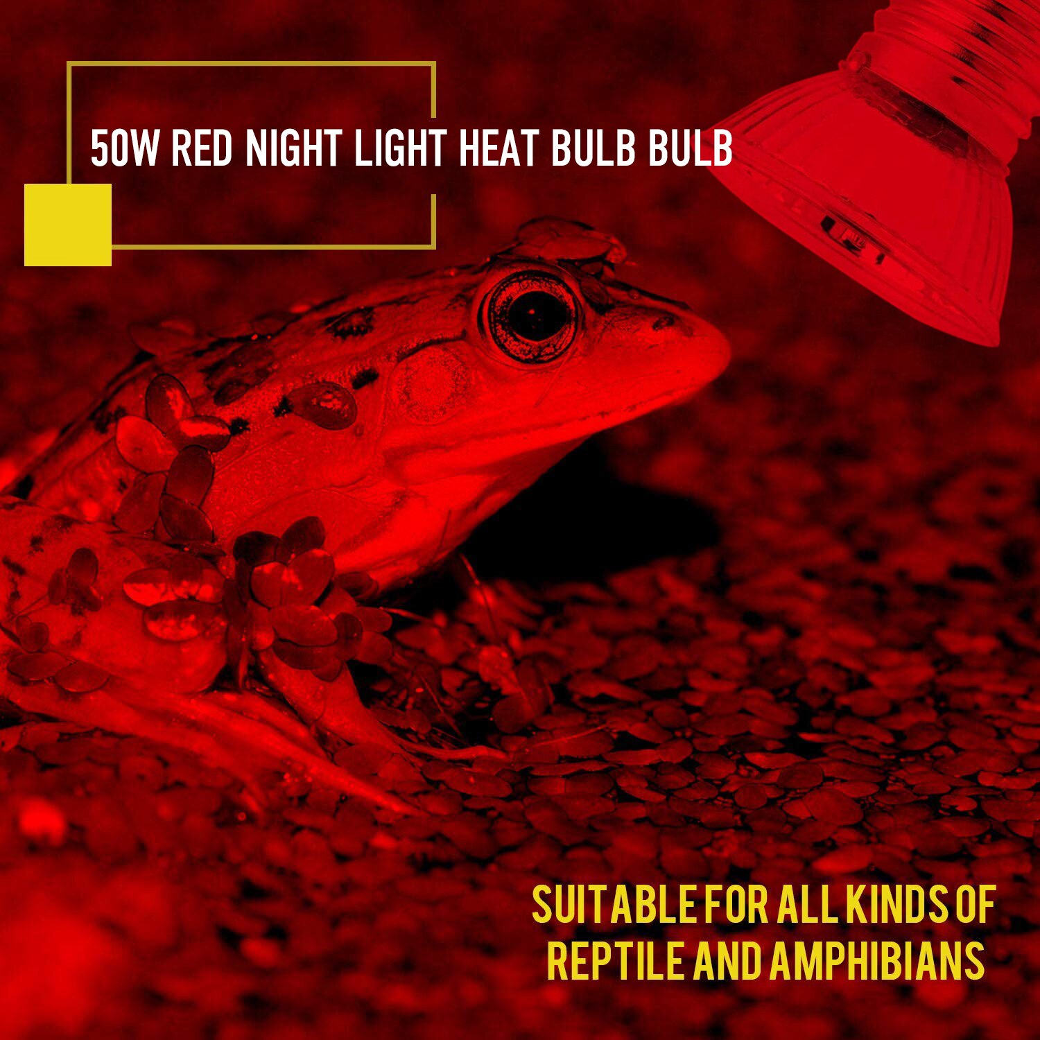 BENE 4-Pack Reptile Heating Bulb Night Red Halogen Lamp for Brooder,Turtle Lizard Chameleon Bearded Dragon Amphibian Terrarium