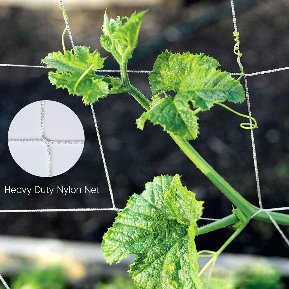 Polyester Mesh Net Loofah Netting For Morning Glory Vine Flowers Garden Plants Climbing Net Cucumber Vine Grow Holder 5/10m