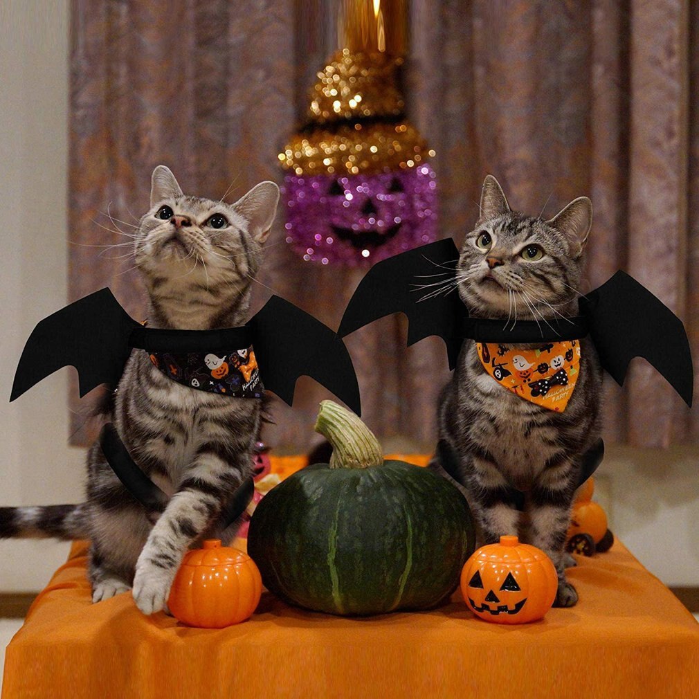 Pet Bat Wings Costume Kitten Puppy Halloween Party Cosplay Clothes With Cute Pumpkins Bells Pet Photo Props Accessories