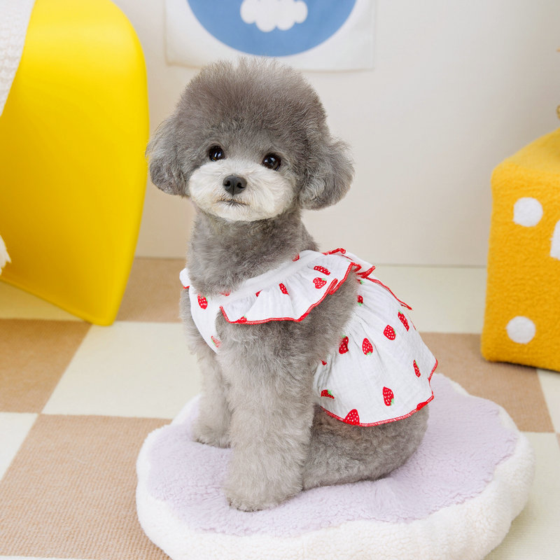 Husdjur jordgubbsklänning sommar hundkläder lyxig hundväst strumpebandshållare kjol hund kyltröja bichon chihuahuakläder hundkläder