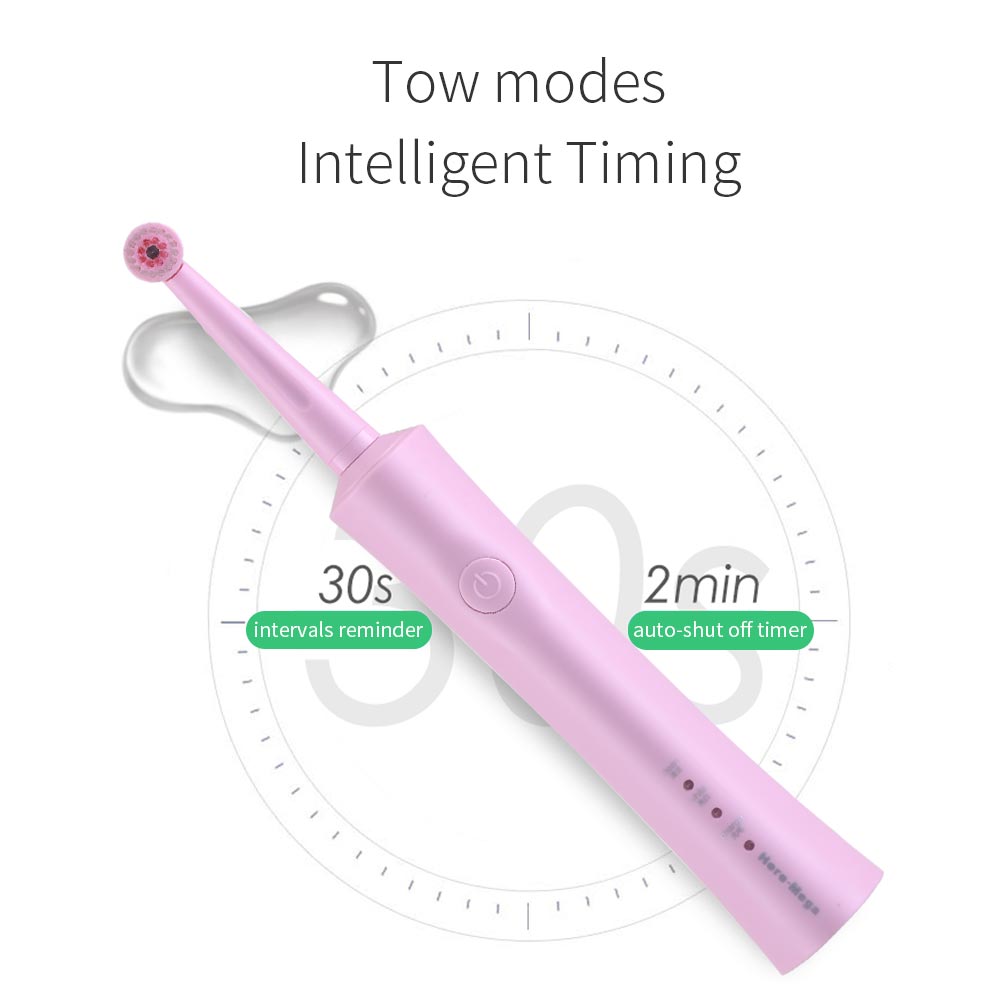 Here Mega Electric Toothbrush Rotating Adult Toothbrush USB Charging Waterproof Cleaning Toothbrush Heads Replaceable Smart R02