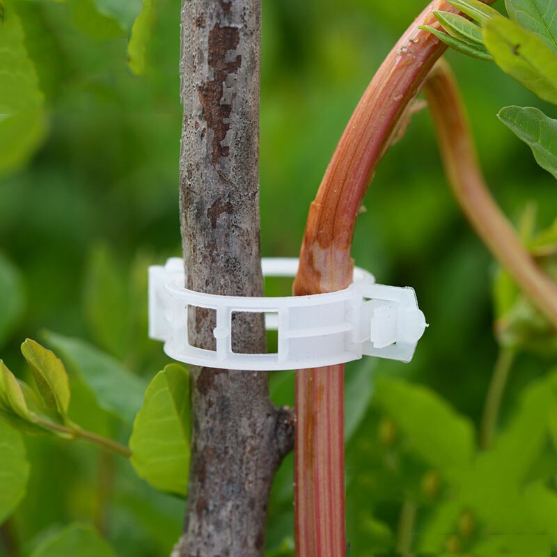 50/100 25mm herbruikbare klemmen, plastic plantensteunclips voor hangende planten, wijnranken, tuinkas, groenten, tomatenclips
