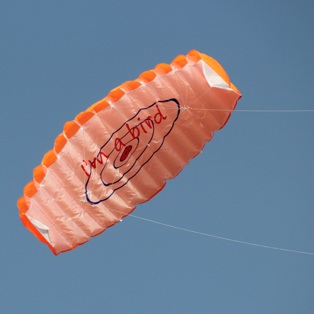 Dual Line Stunt Parafoil Parachute Flying Kites Large 1.4m for Beach Outdoor Fun for Adults Children