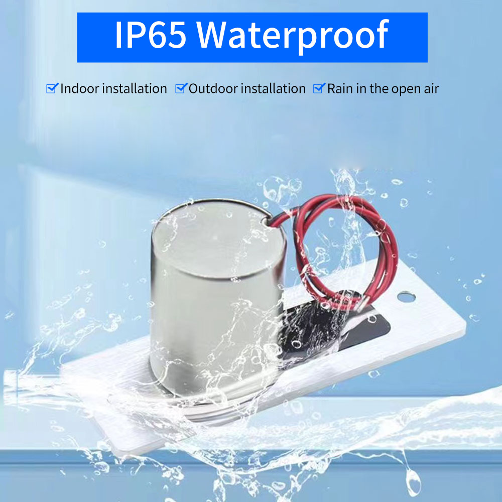 DC12V Electric Bolt Lock NC Fail Safe Stainless Waterproof Outdoor Embed Install Magnetic Induction Electronic Cylinder