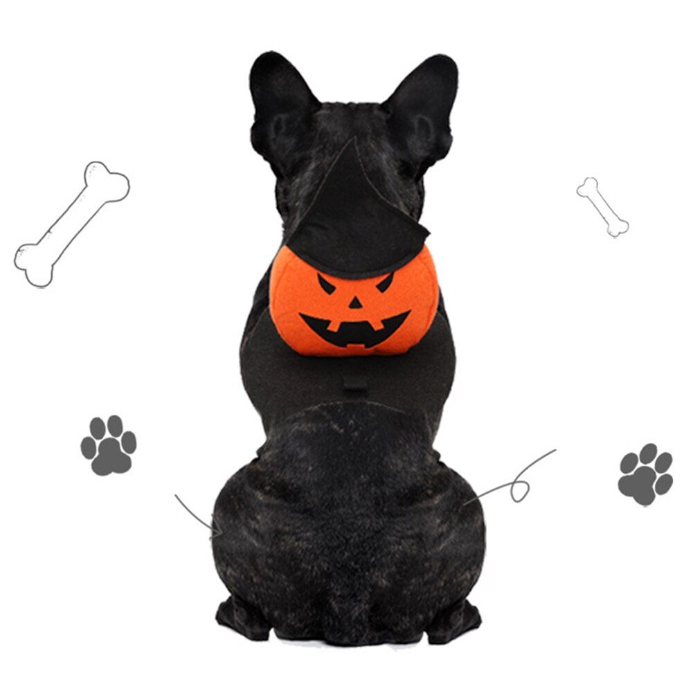 Kjæledyrhund halloween gresskar kostyme gresskar ridder med trollmann heks lue hundeklær kostyme  h88f