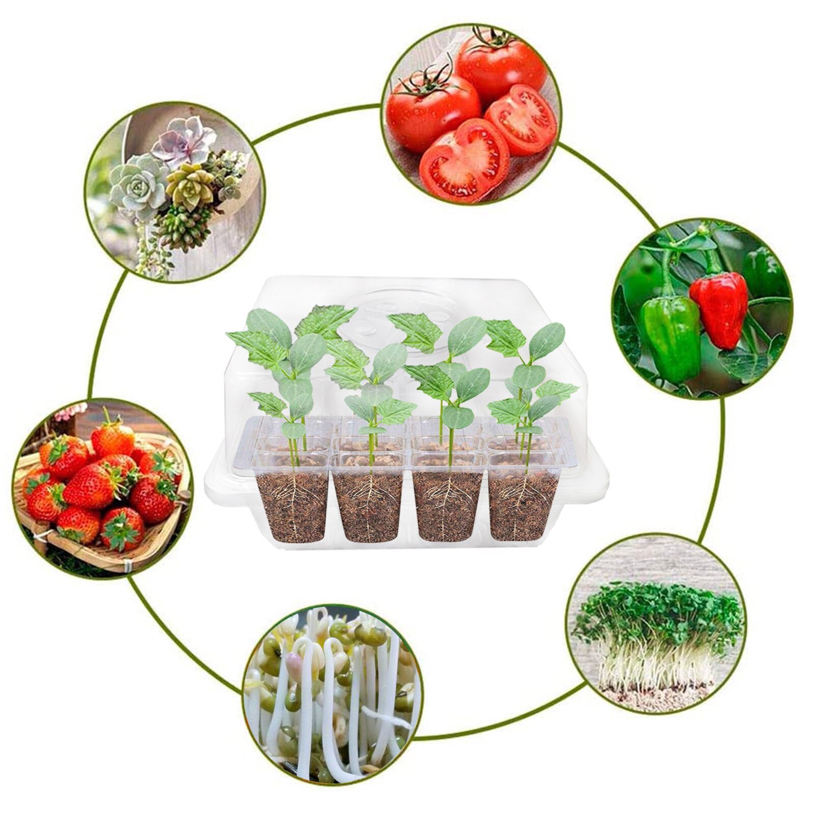 12 stücke Samen Starter Tray 12 Zellen Wachsen Tablett Gartenarbeit Keimung Tablett Anlage Keimung Kit Für Anlage Sämling Gartenarbeit Kit