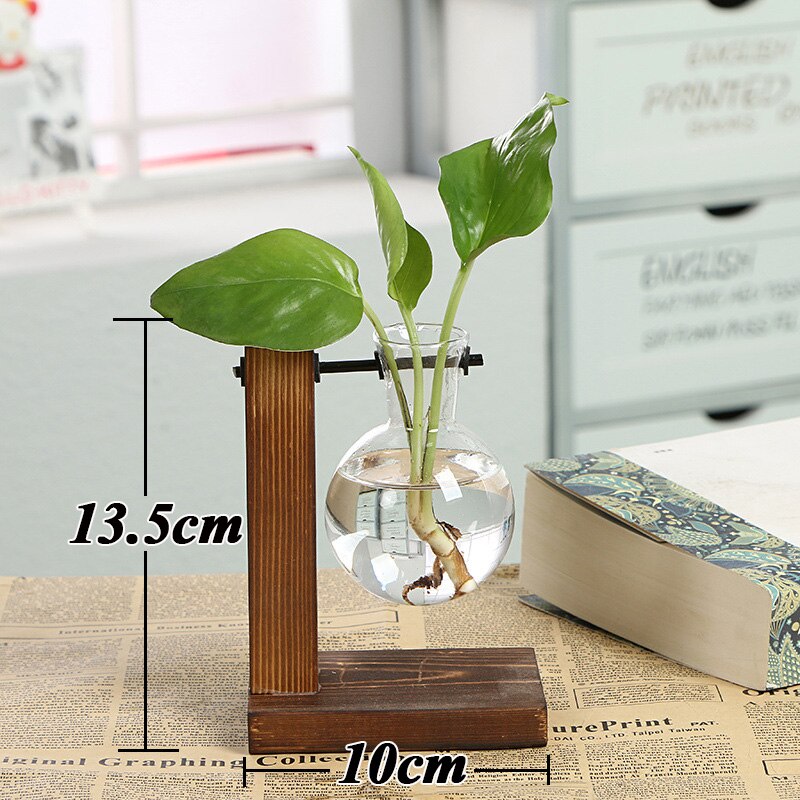 Glas og træ vase planter terrarium bord desktop hydroponics plante bonsai urtepotte hængende potter med træbakke boligindretning: 1 rund bold