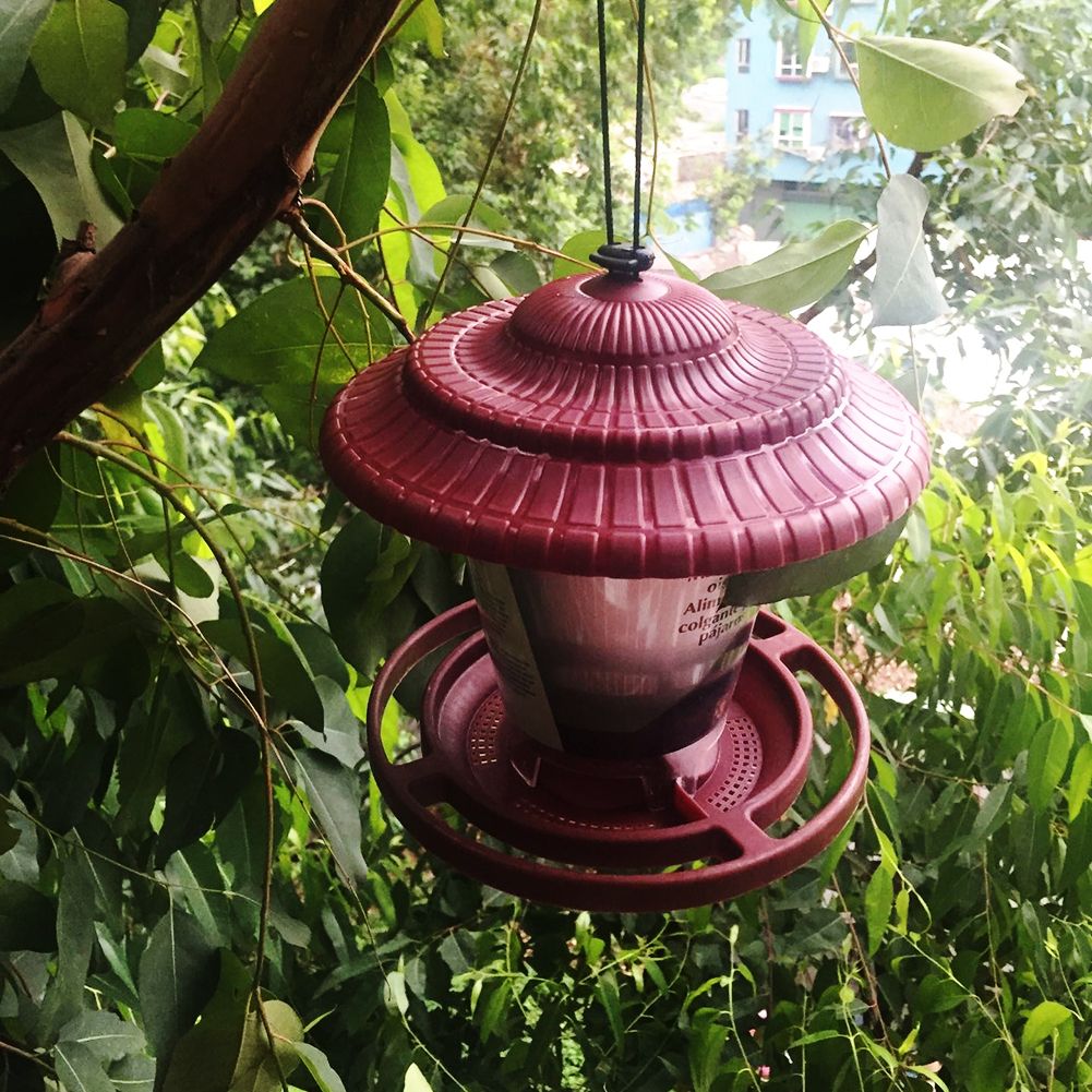 Plastic Transparent Bird Feeder Bottle Outdoor Courtyard Balcony Waterproof Hanging Pet Bird Water Food Container Clear Feeder