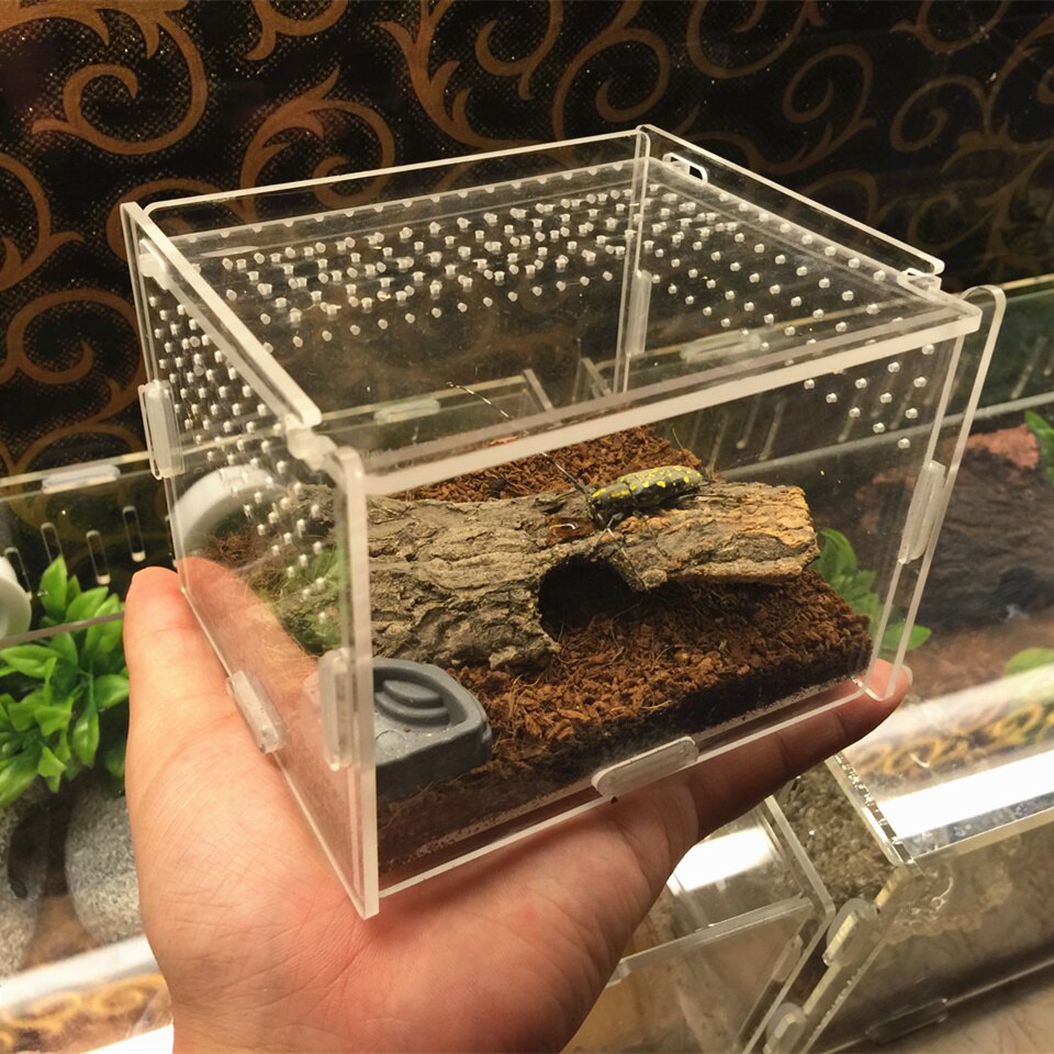 Acrylic Insect Cage with Accessories Spider Lizard Reptile Breeding Box Reptile Terrariums Reptile Home Box Gecko Tortoise House