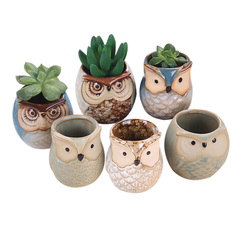6 stk / sæt keramisk uglepotte saftige planter kaktus blomsterpotte beholder planter bonsai potter  h99f: Default Title