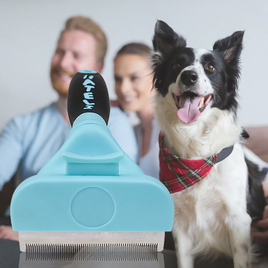 Deshedding Borstel Hond Haar & Kat Haaruitval Tool Effectieve Grooming Tool Leisure Delicate Duurzaam Handig Praktische