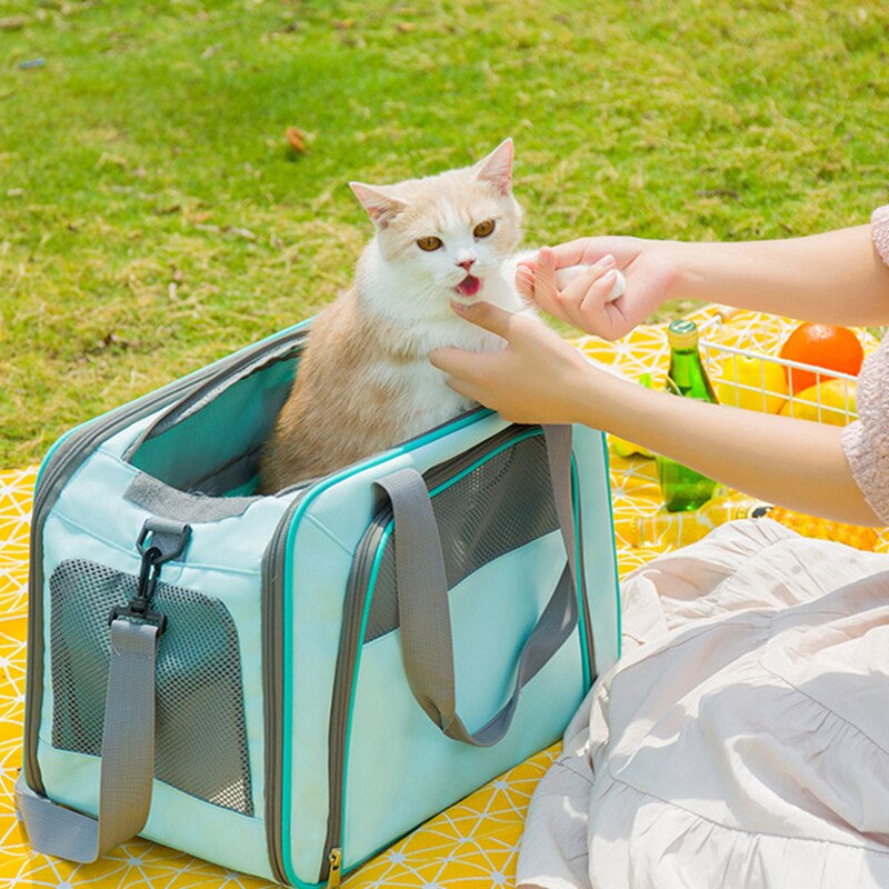 Kat Draagtassen Kat Uitgaande Reizen Handtas Met Vergrendeling Veiligheid Ritsen Kleine Hond Carriers Draagbare Ademend Opvouwbare Tas