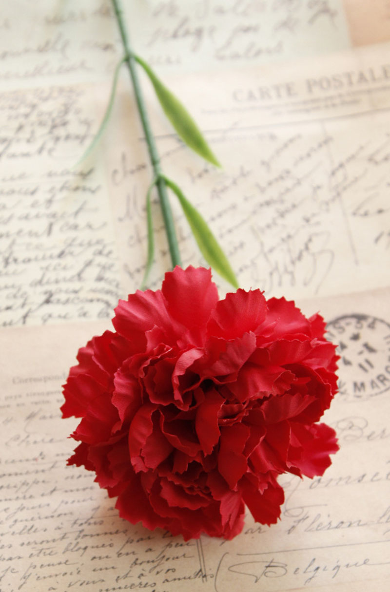 5pcs of silk Carnation 50cm Artificial flowers bouquet for mother&#39;s valentine birthday party garden room decor: Red