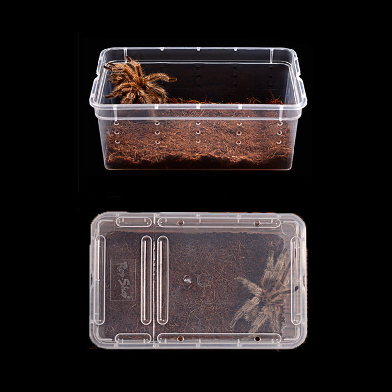 Terrario para los reptiles de caja de plástico transparente reptil de insectos de transporte de comida viva de alimentación caja tortuga reptil tanque lámpara