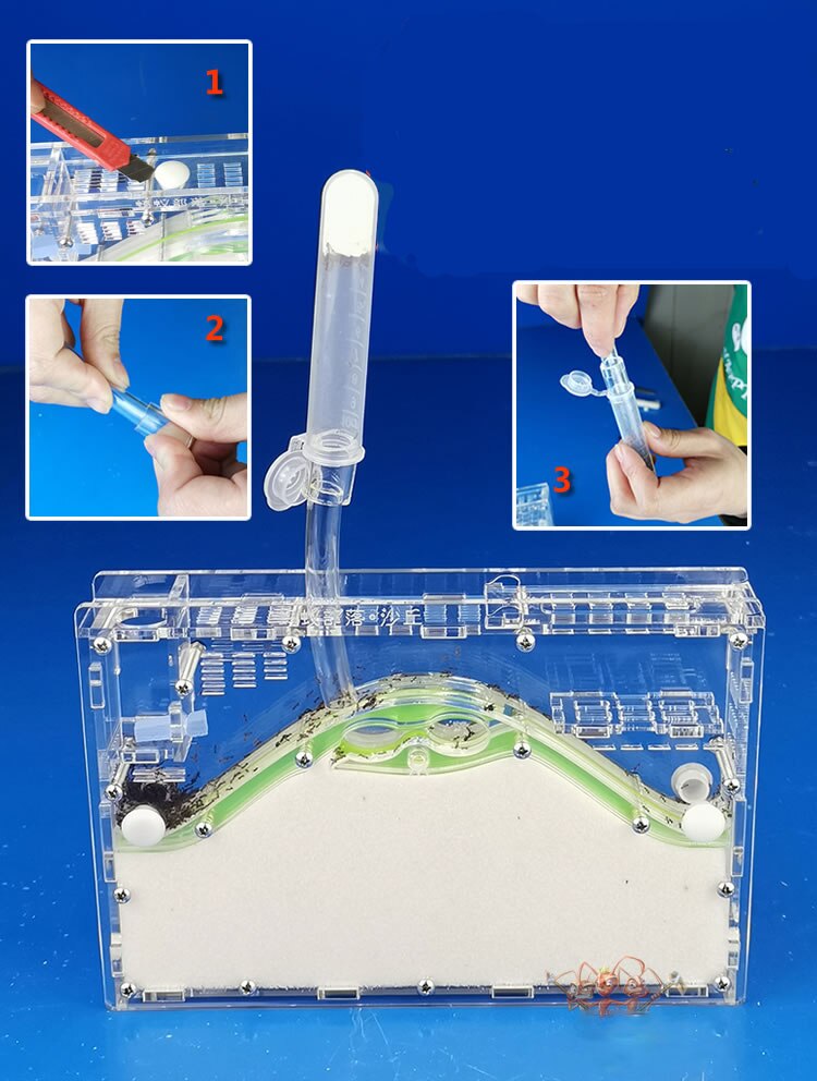 ant hill Transparent Acryl Ant Farm,Natural Ecological Insect Ant House SandCastle Ants Nest, pet mania for house ants