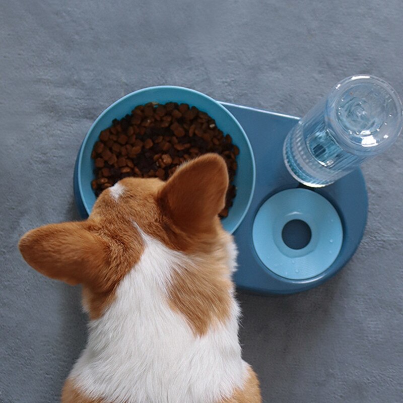 4 # Huisdier Automatische Feeder Hond Kat Drinken Kom Voor Hond Drinkwater Kat Voeden Grote Capaciteit Dispenser Huisdier Kat hond Feeders