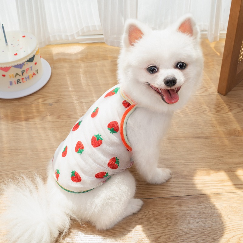 Chaleco refrescante para perros, camiseta de malla con estampado de fresa y puntos de verano, ropa para cachorros, disfraz de Chihuahua pequeño, tirantes para gatos 2025