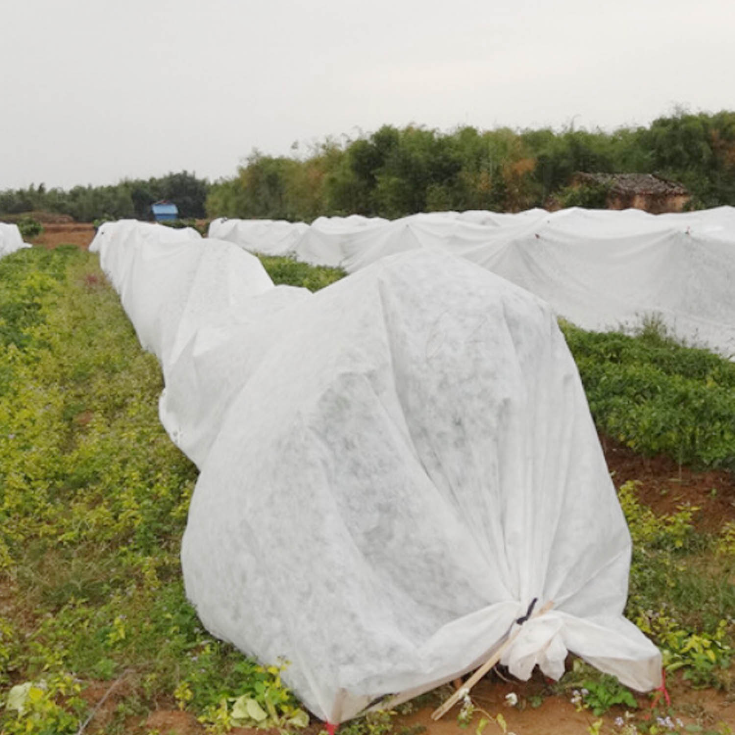 Behogar-Manta de protección contra escarcha fría para jardín, cubierta no tejida, transpirable, reutilizable, 2x5m, para granja, patio y huerto