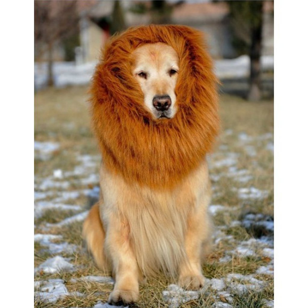 Nocm Criniere Pruik Voor Halloween Leeuw Kleding Hond Kostuum-Bruin