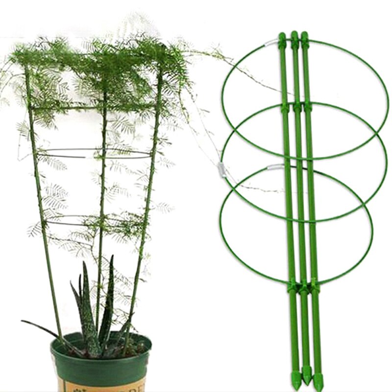 Klätterstöd för Växter 60cm - Stål med Plastbeläggning - Stödram för Trädgård och Balkong
