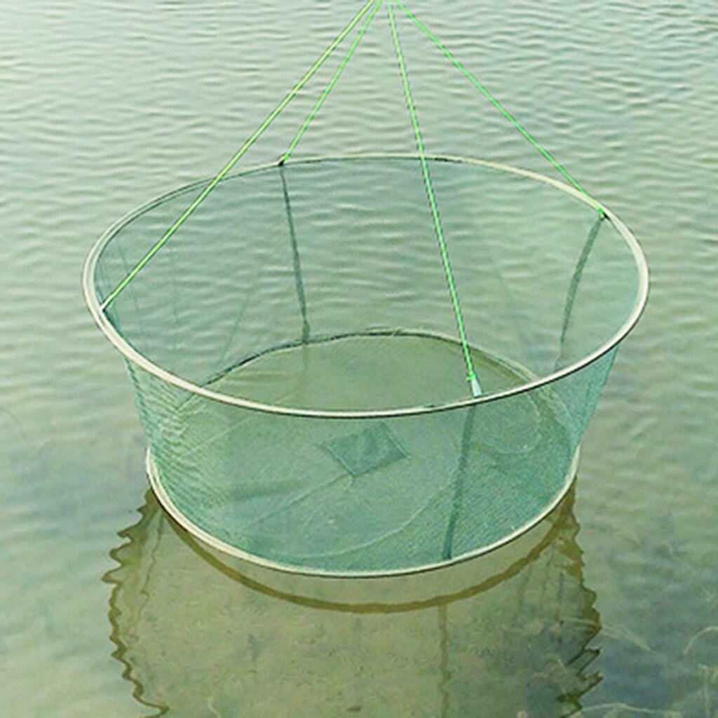 Red plegable de caída, Red de aterrizaje para pesca, cebo langostino, cangrejo, camarón, malla para trampa de peces/jaula, cebo langostino, cangrejo, camarón, red pequeña