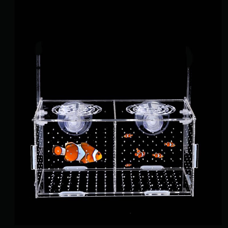 Aquarium Aquarium Kasten Kleine Fisch Isolation Netz tropisch Fisch Zucht Kasten Produktion Kasten Acryl Aquarium Lieferungen 30X20X20CM