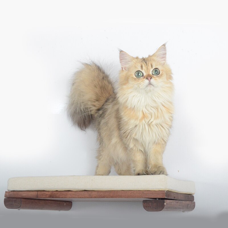 Kattenboom, kattenmeubel, kattenflat, kattenkrabpaal, kattenmuurmeubel, kattenklimboom