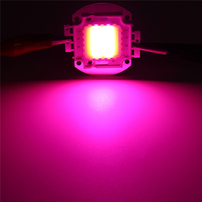 LED Chip Grow Light 10W 20W 30W 50W 100W Volledige Spectrum Plant Lamp Diodes Groei verlichting voor Tuin Bloeiende Hydrocultuur Systeem