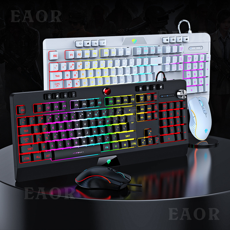 EAOR RGB Wired Gaming Keyboard and Mouse Set 104-key Mechanical Feel Gaming Keyboard Mouse Combos for Laptop Desktop PC Gamer